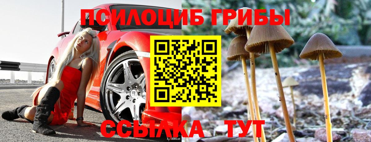 Псилоцибиновые грибы MAGIC MUSHROOMS Азнакаево