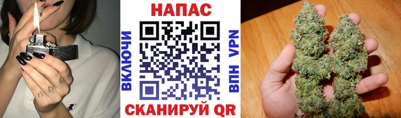 купить наркоту  Азнакаево  Бошки марихуана SATIVA & INDICA 